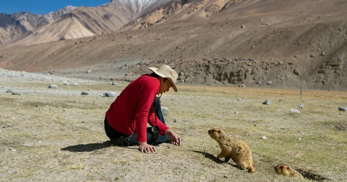 A man is interacting with a beaver at the hill. (Representative Cover Image Source: Getty Images | rudi_suardi)