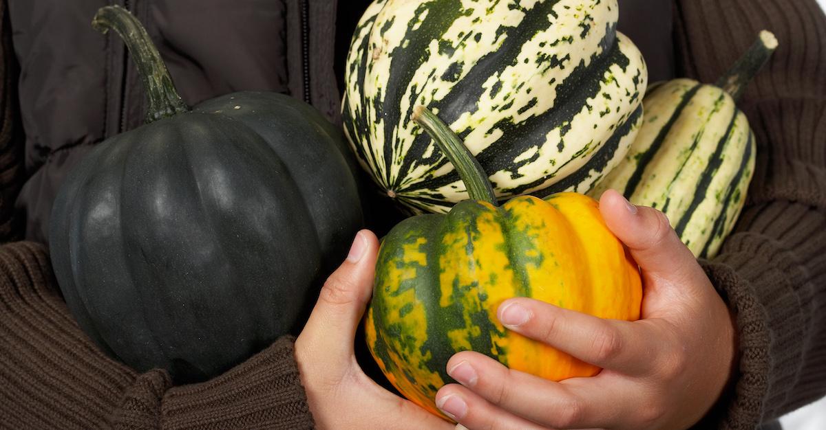 Acorn Squash