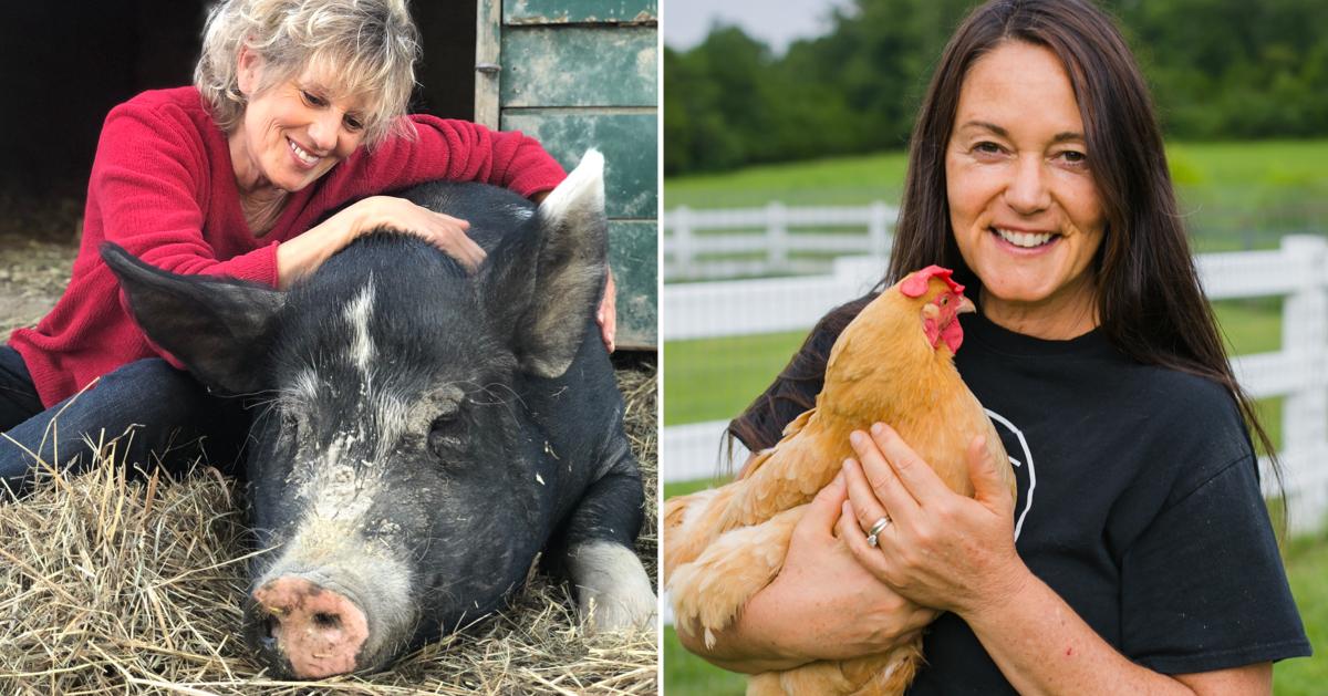 How To Start A Farmed Animal Sanctuary Two Experts Share Their Tips