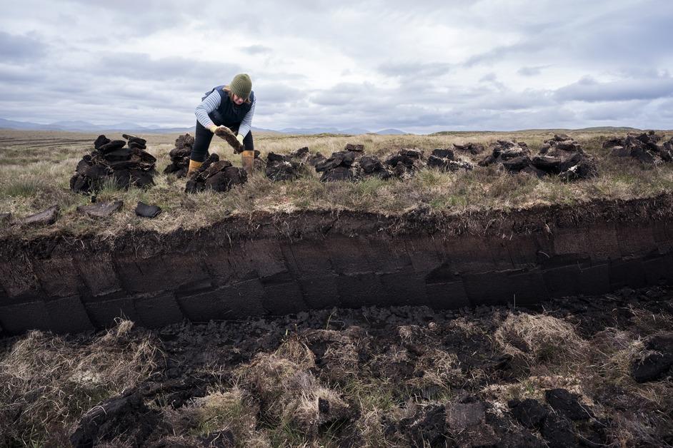 Woman stacking peat in a peat bog.