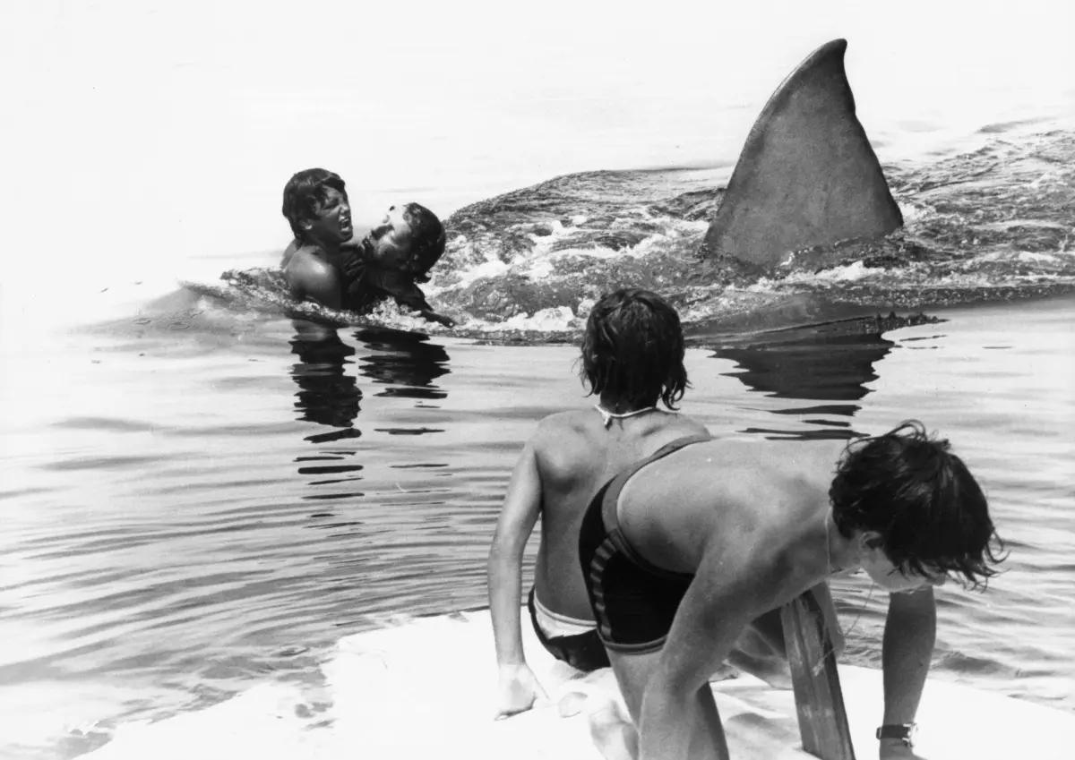 Still of a shark attack from Steven Spielberg's 1975 film 'Jaws'