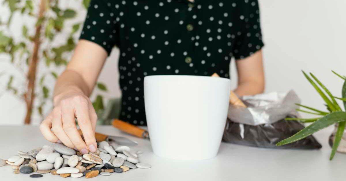 A person is putting rocks at the bottom of a plant pot before adding the soil. (Representative Cover Image Source: Freepik)