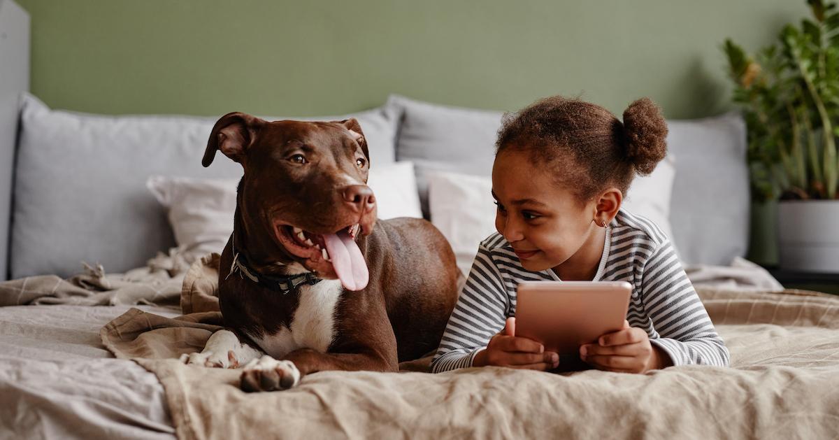 Smiling girl lying on bed with big pet dog