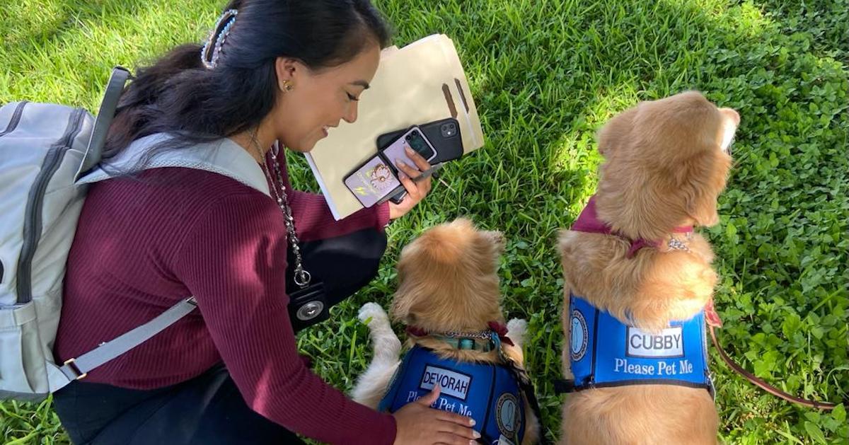 Comfort Dogs Uvalde