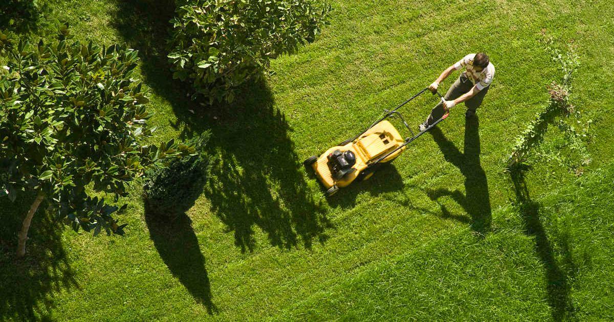 A gardener is using a lawn mower to trim grass. (Representative Cover Image Source: Getty Images | delihayat)
