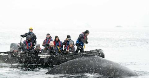 A group of researchers on an inflated boat witnessing a humpback whale. (Representative Cover Image Source: Pexels | Hugo Skyes)
