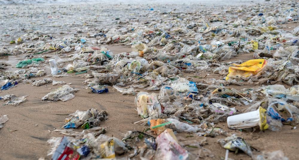 Here's How Plastic Affects the Environment