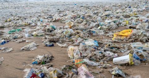 Plastic Trash on the Beach