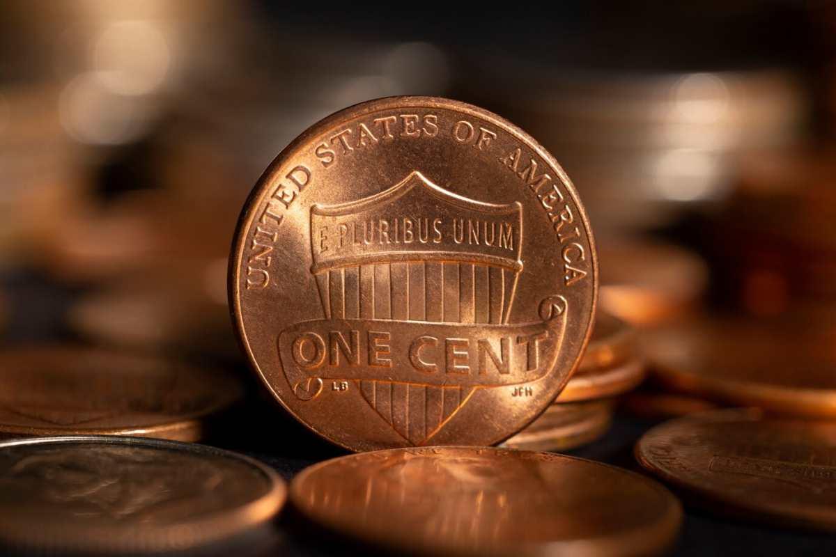 pn/fc cbd c  cdabfbe