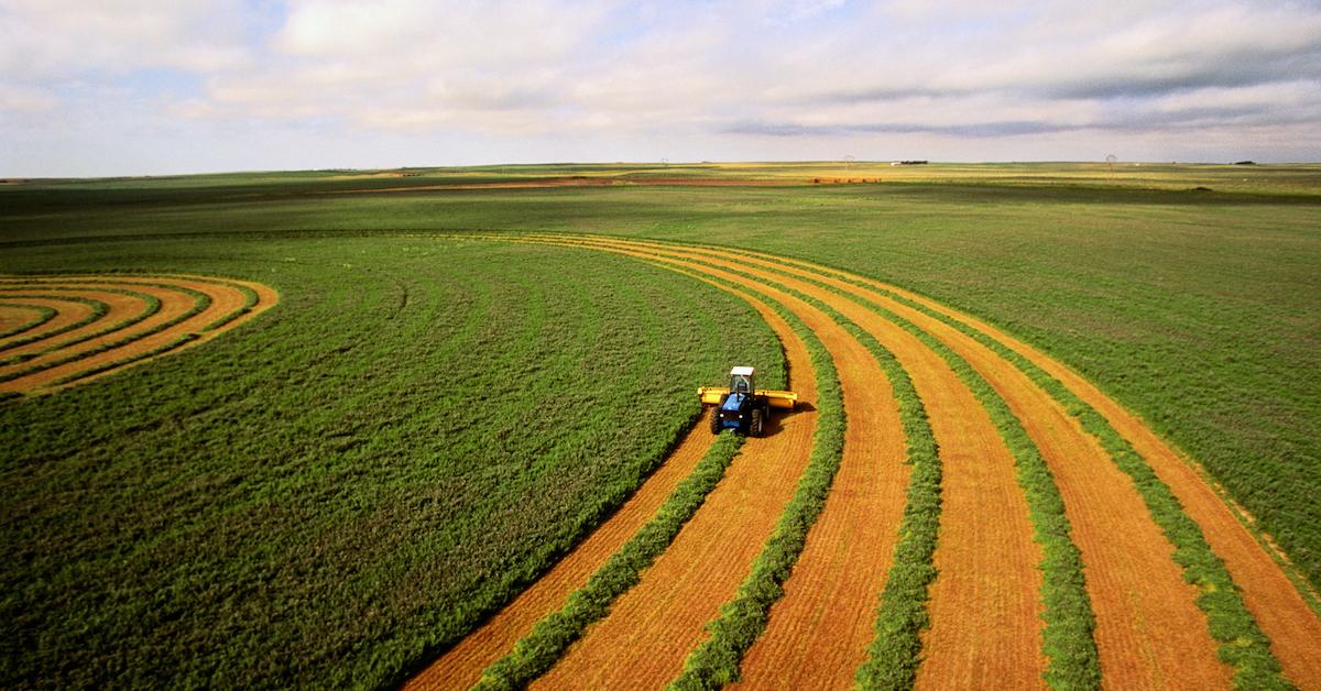 sustainable agriculture