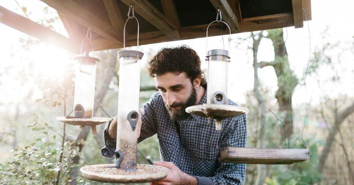 A man tending to the bird feeder in his backyard (Representative Cover Image Source: Getty Images | Westend61)