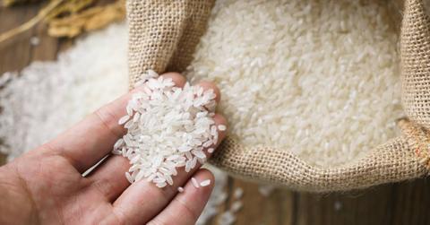Hand holding rice grains above an open burlap sack filled with rice