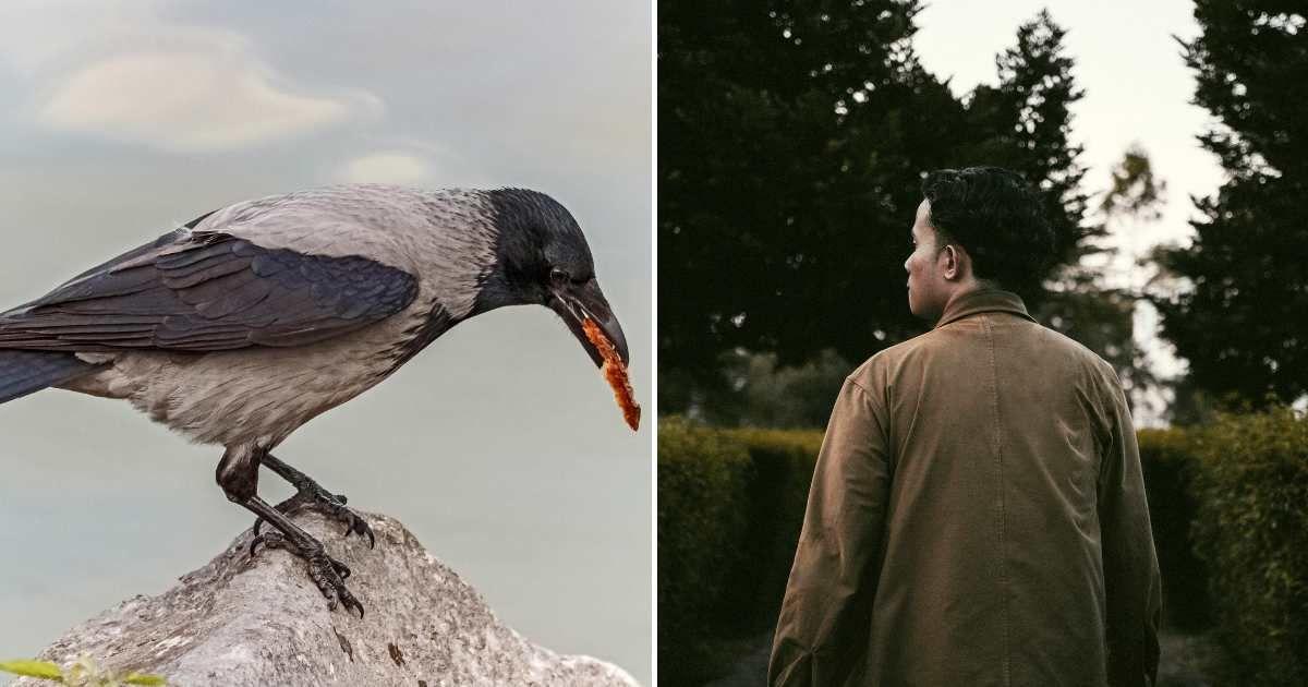 (L) A crow with a chicken drumstick in its beak, (R) A man looking at the garden (Representative Cover Image Source: Pexels | (L) Laszlo Glak, (R) Luxinate Fynt)