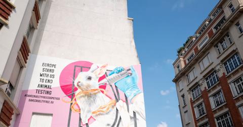 Should Animal Testing Be Illegal?