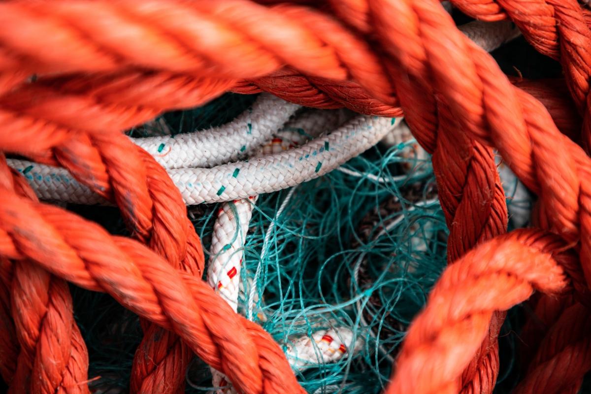 Australian Sailor and Dog Survive for Months in the Pacific