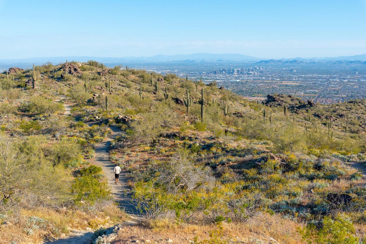 Best Hiking Trails in Phoenix