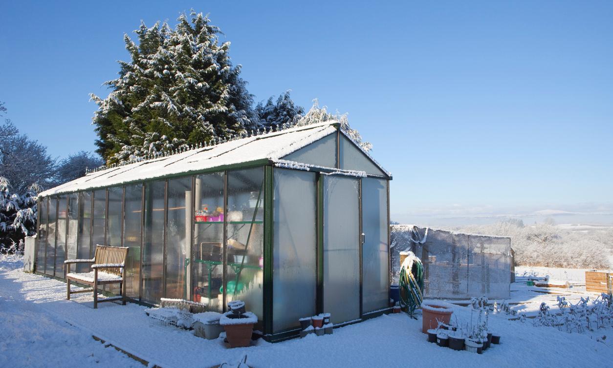 A Guide to Greenhouse Gardening What to Know