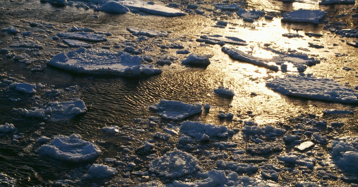 antarctica iceberg breaking off effects