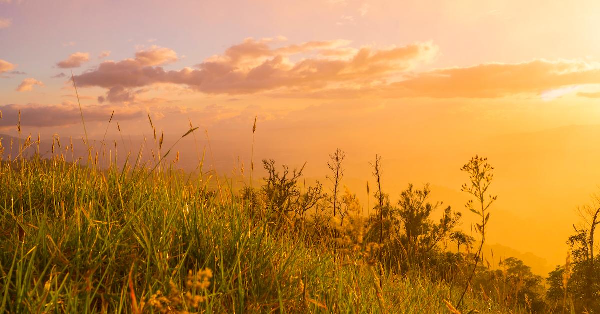 Why Did Mexico Ban Solar Geoengineering? What It Is, Pros, and Cons
