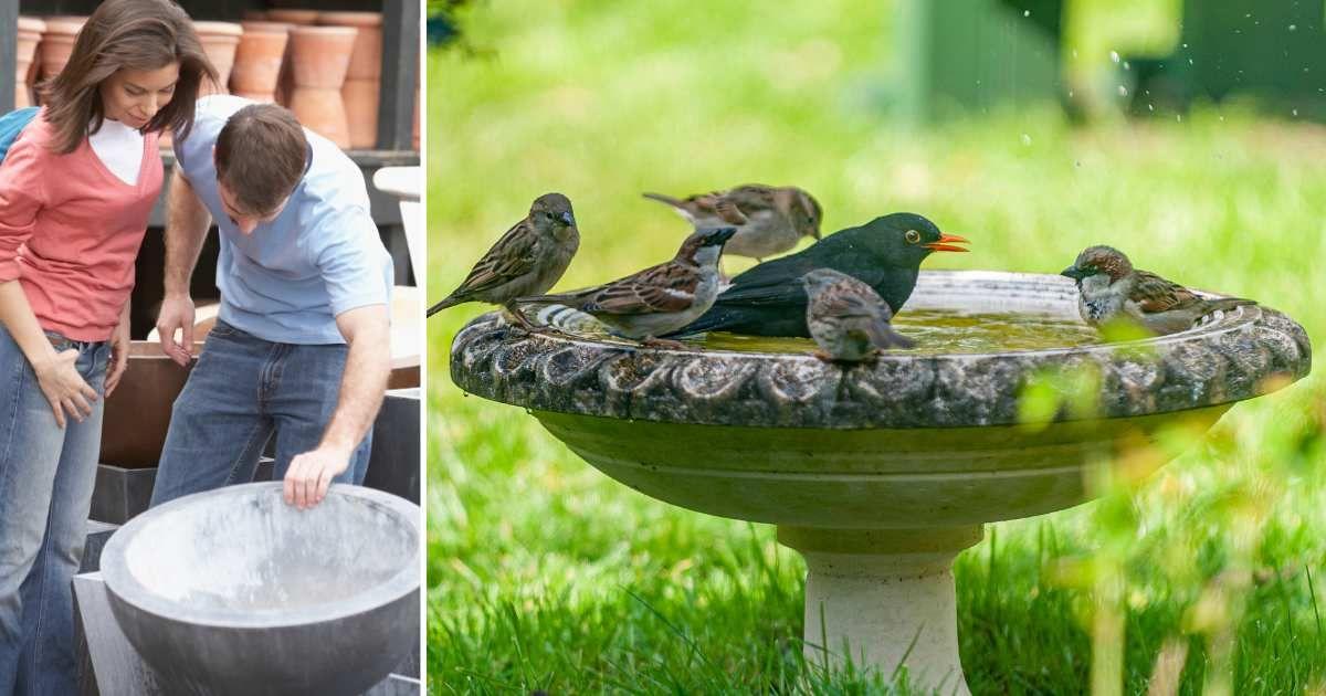 (L) A couple looking for a bird bath to buy. (R) Sparrows and other birds perched on a bird bath. (Representative Cover Image Source: Getty Images | (L) Jack Hollingsworth, (R) Ian Laker Photography)