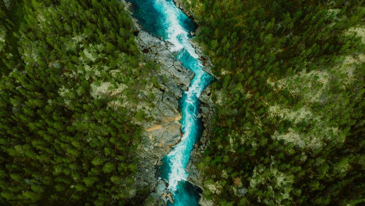 An overhead view of a river in between a forest. 