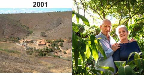 (L) A town in Minas Gerais, a state in Brazil, in 2001. (R) The couple restored their hometown forest with millions of trees. (Cover Image Source: (L) Facebook | Instituto Terra, (R) Instagram | @sebastiaosalgadooficial)