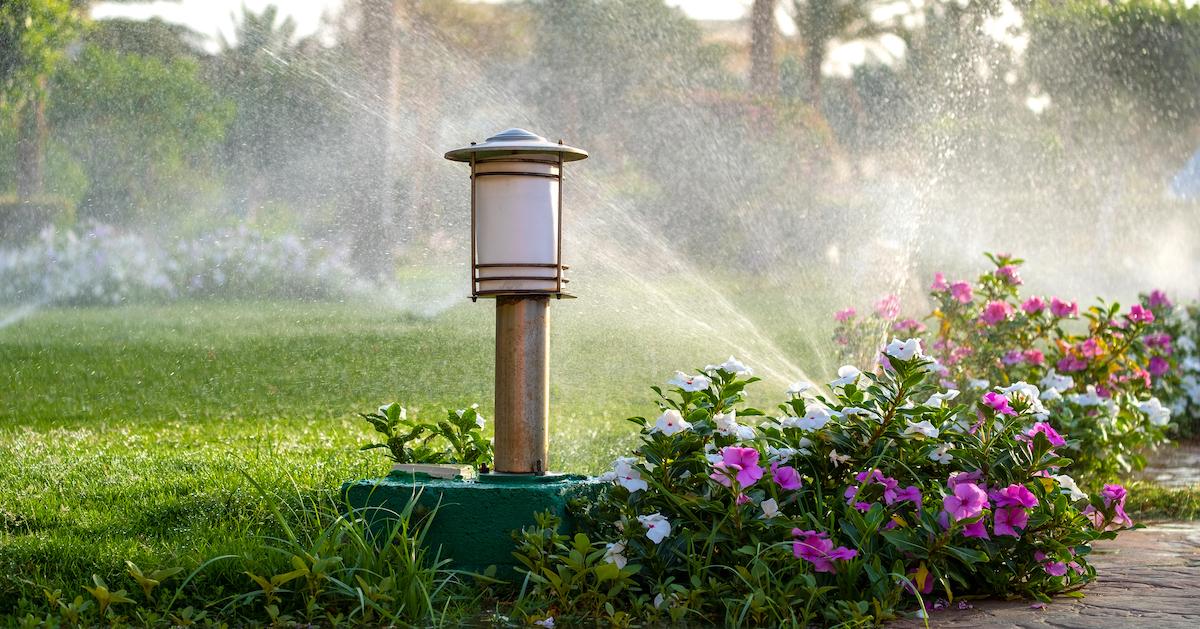 Plastic sprinkler irrigating flower bed on grass lawn with water in summer garden