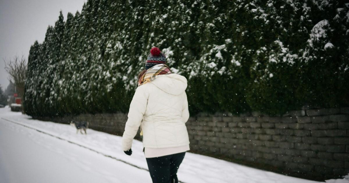 A woman walks her dog in the snow
