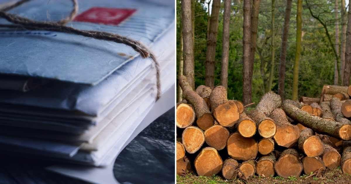 (L) Assortment of junk paper mail. (R) Trees felled in a forest. (Representative Cover Image Source: Pexels | (L) Suzy Hazelwood, (R) Paul Groom Photography Bristol)