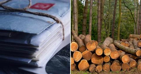 (L) Assortment of junk paper mail. (R) Trees felled in a forest. (Representative Cover Image Source: Pexels | (L) Suzy Hazelwood, (R) Paul Groom Photography Bristol)