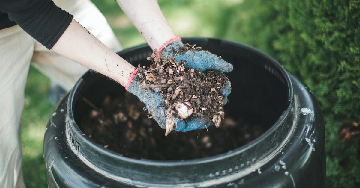 compost winter