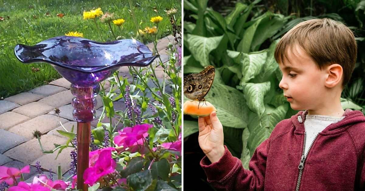(L) Hand-blown glass butterfly feeder crafted by an American glass artist. (Cover Image Source: Garden Artisans) | (R) Boy holding a butterfly on a flower. (Representative Cover Image Source: Getty Images | Cavan Images)