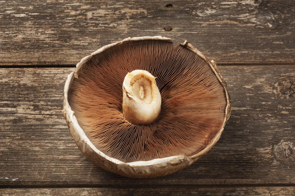 What Are the Negative Effects of Portobello Mushrooms?