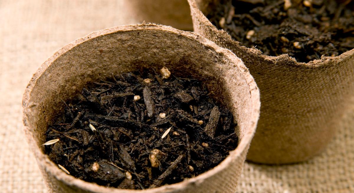 What’s the Best Soil for a Vegetable Garden?