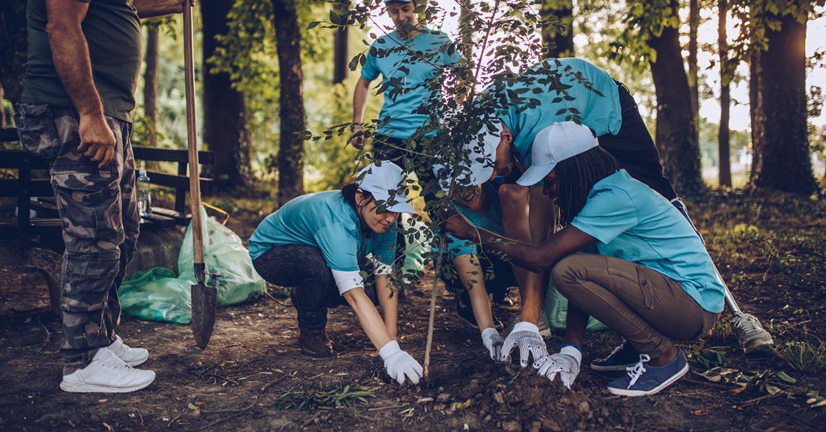 planting trees earth greener