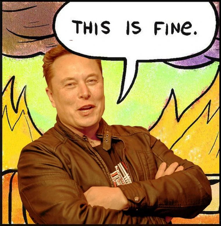 Elon Musk crosses his arms with a speech bubble saying "This is fine" in front of a cartoon fire background.