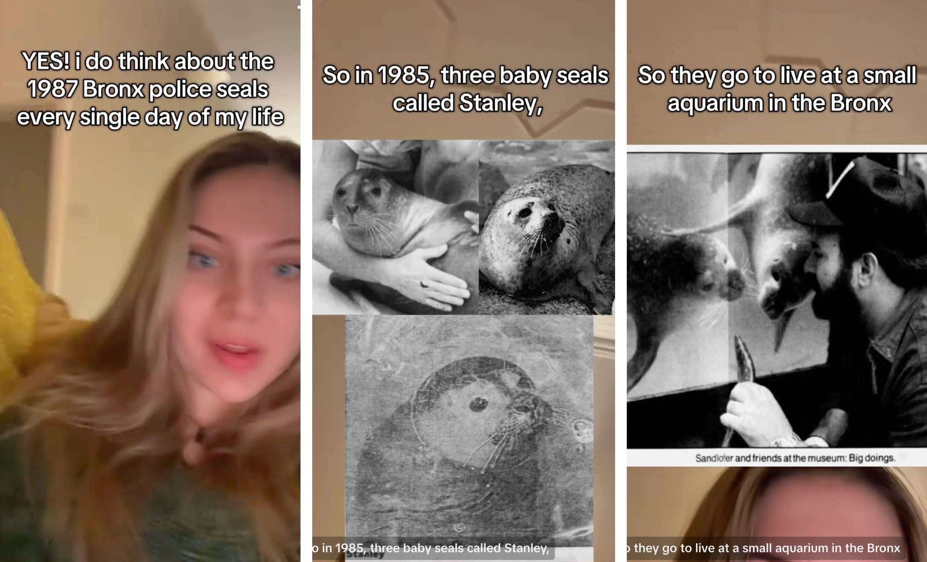 A TikTok user discusses the history of Bronx police seals.