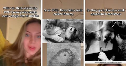 A TikTok user discusses the history of Bronx police seals.