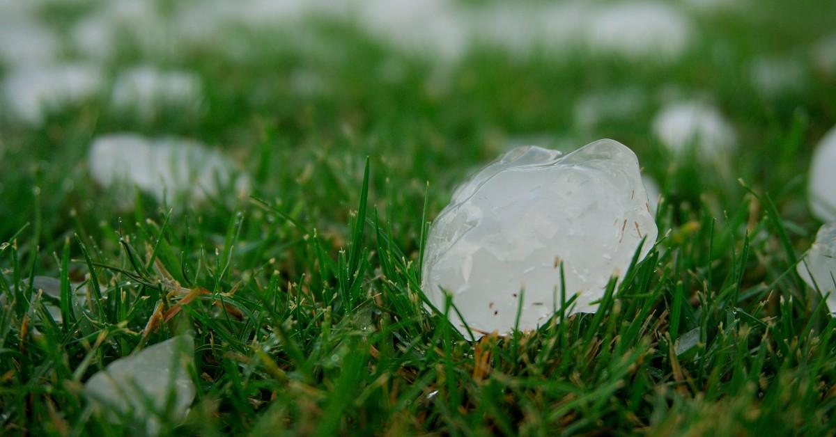 Chunks of hail sit on the grass