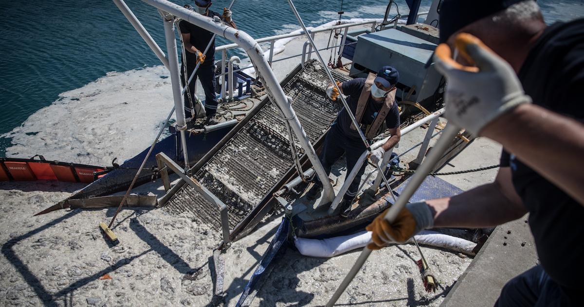 Sea snot cleanup begins