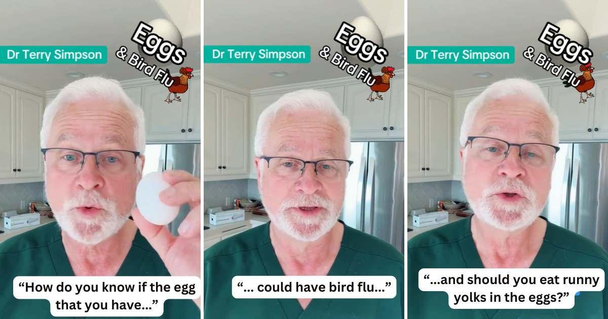 Doctor explains what kind of eggs people should buy to avoid getting infected by bird flu (Cover Image Source: TikTok | @drterrysimpson)