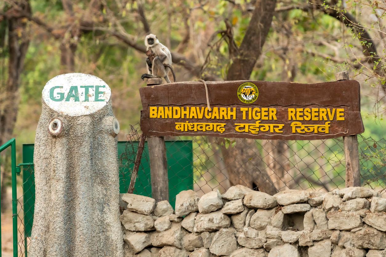 Tiger reserve.