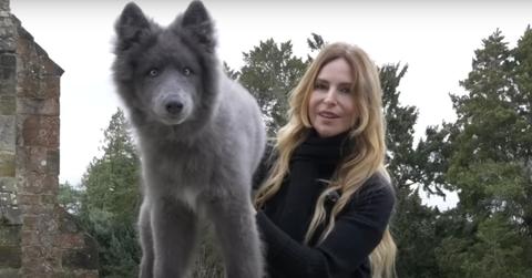 Animal expert Anneka Svenska and her blue wolfdog Ocean.