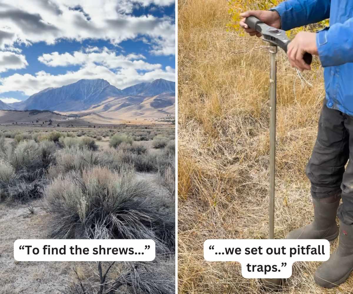 pn/fcfea ff a  feeebc