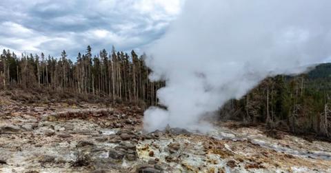 Steamboat Geyser in the Norris geyser basin in Yellowstone (Representative Image Source: Getty Images | fitopardo)