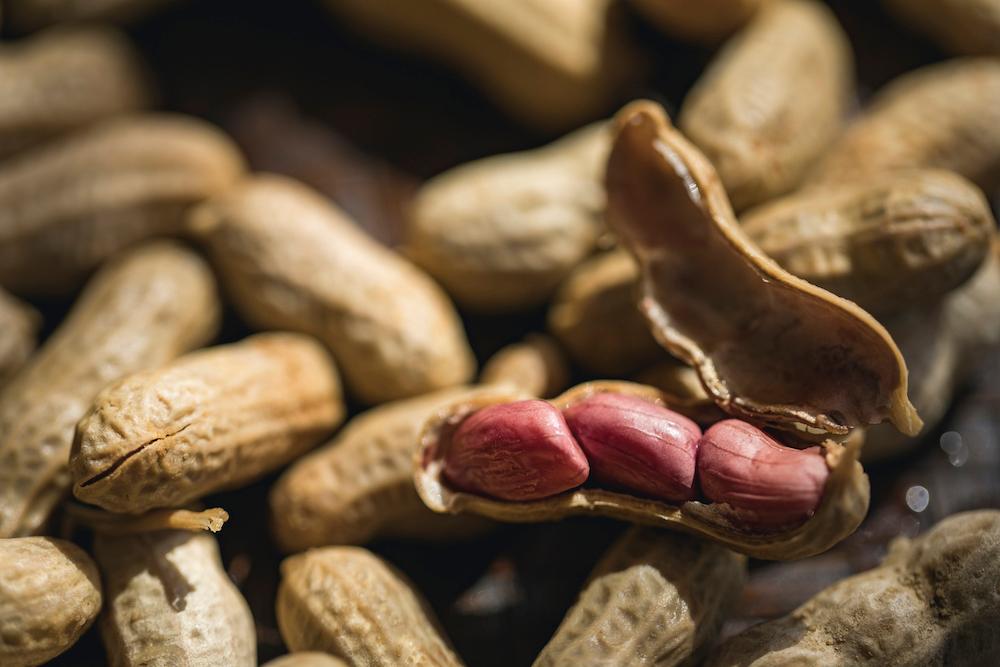 A close up of cooked peanuts.