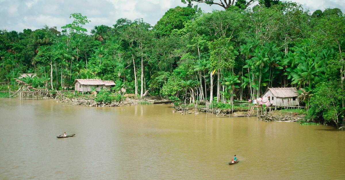 Brazilian Oil Company Endangering the Amazon River’s Coral Reef