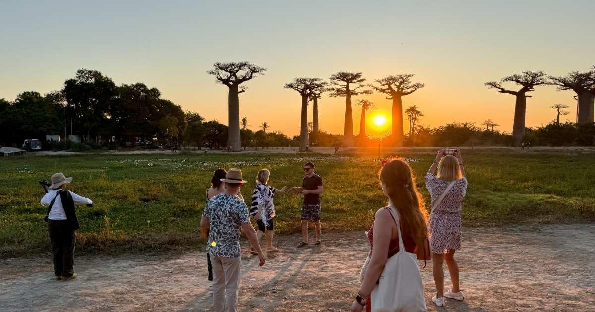 Visitors admire the sunset over Baobab Alley in Madagascar while exploring the iconic trees. (Representative Cover Image Source: Getty Images | Dave Primov)