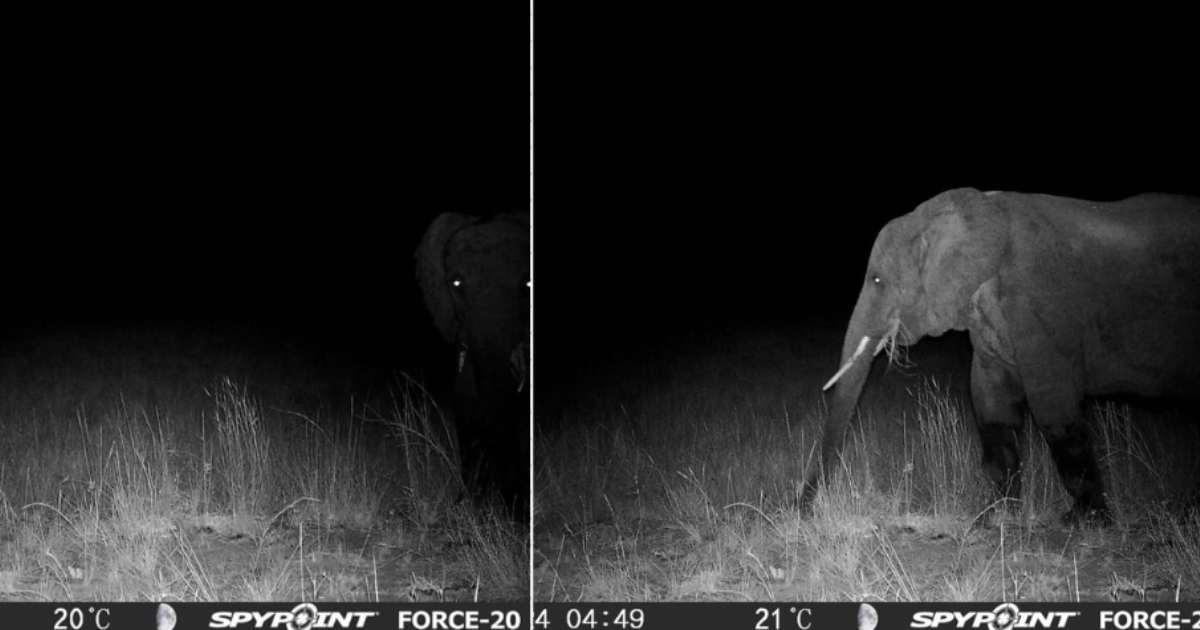 pn/da adcb ef e becac