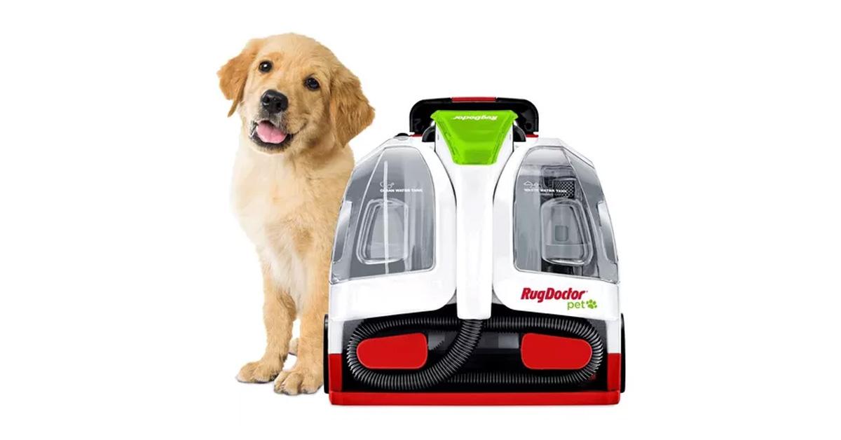 carpet cleaner and dog